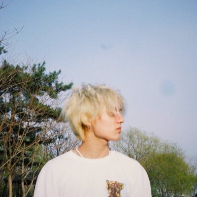 美