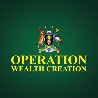 This is the official Account of Operation Wealth Creation. A @GovUganda Presidential Initiative to improve household incomes & overall prosperity for Ugandans.