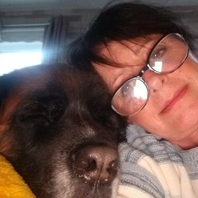 d_belleau's profile picture. 