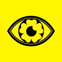 Studio HMVD (@studiohmvd) 's Twitter Profile
