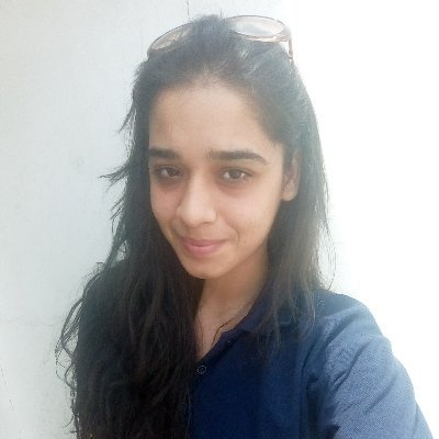ReedamChoudhary's profile picture. Just a front-end developer 😎