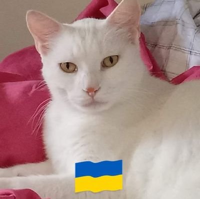 reallywasntme's profile picture. Mother of 2 amazing young men. I love music, books, animals and knowledge. Express your individuality, its what makes you shine!