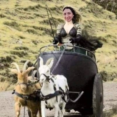 owlpelletz's profile picture. Swancore & Dogeparty shitposting 🦢🐾 DCLrmPNEQ359dMWCkU6Cb4Pi4H9GJbJ2Nm
