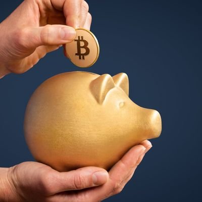 stackingsats3's profile picture. 