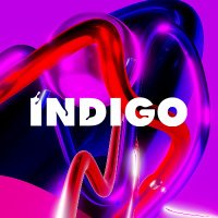 Premios Indigo (@premiosindigo) 's Twitter Profile