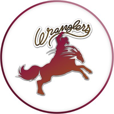 Welcome to Hedrick Middle School of @LewisvilleISD. Home of the Wranglers!