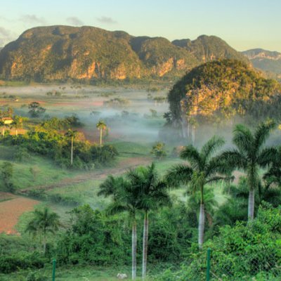 Ecovida_Pinar's profile picture. El Centro de Investigaciones y Servicios Ambientales ECOVIDA fue  creado el 6 de diciembre de 1999