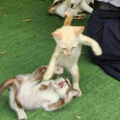 Lin_XiH's profile picture. Happy design