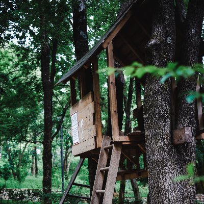 The clearest way to happiness is through forest wilderness
A wonderful #treehouse near #Kasol
Lifetime experiences 🐾 Pet-friendly
Contact for details