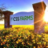 CSS Farms (@css_farms) 's Twitter Profile Photo CSS Farms (@css_farms) 's Twitter Profile Photo