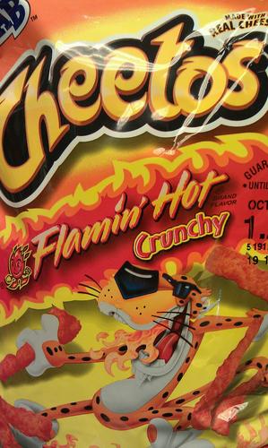 cheesychester71's profile picture. 