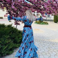 Nancy (@nancy60whitley) 's Twitter Profile