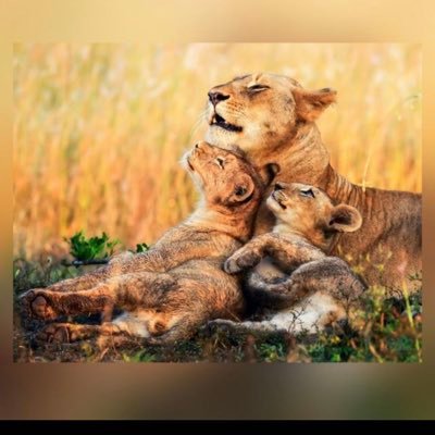 PatriciaCastArb's profile picture. 