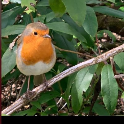 Etches99's profile picture. etches COYP