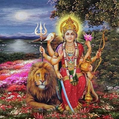 rajeshbisht964's profile picture. Rajesh Bisht