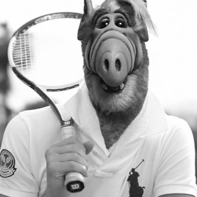 From Melmac. Love Cats (Chia Asset Tokens). Living with the Tanners right now. rALF lauren is my favourite sportswear.