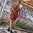ObiLilian11's profile image