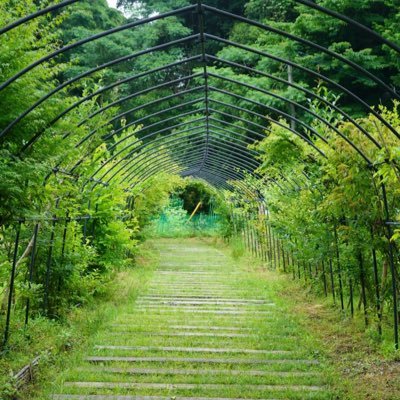 遠い国だから関係ないにしたくない🍉