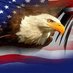 dontdokoch (@democracyfanusa) Twitter profile photo dontdokoch (@democracyfanusa) Twitter profile photo