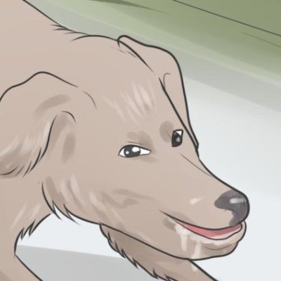 kayspar_hauser's profile picture. 