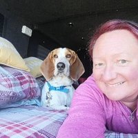 Sarah Jones (@sarah_jones_79) 's Twitter Profile