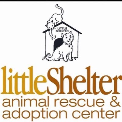 We are a non-profit, no kill shelter, saving the lives of homeless dogs & cats since 1927 and placing them into loving homes.
https://t.co/tA2j7jiCjW…