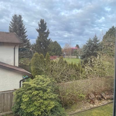 maydabashirr's profile picture. 