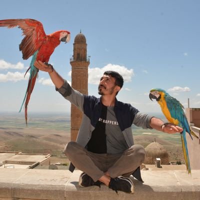 Mardin aşığı🌞
Zaman içinde küçük bir anıdır insan.. 
R.Darjin  🎈Havinin gönüllüsü🎈