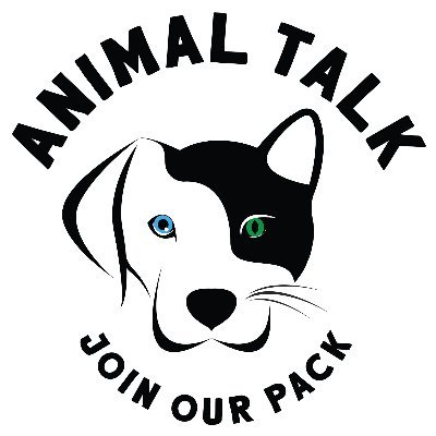 Networking adoptable animals across southern New England and beyond!  Looking for a pet? Email us: animaltalk1920@gmail.com