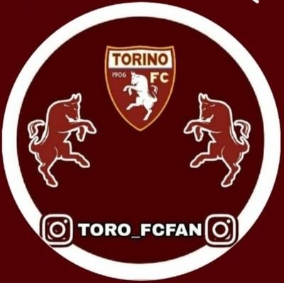 Seguitemi anche su Insta @Toro_FcFan