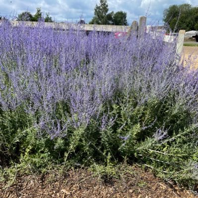 Tracey45171610's profile picture. 