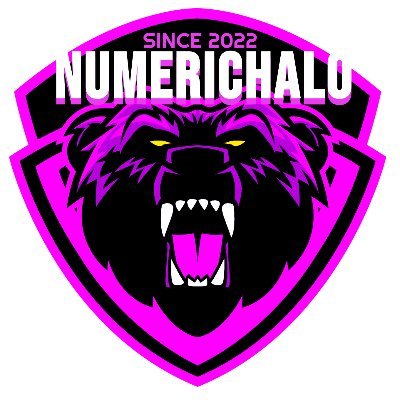 numerichalo's profile picture. 