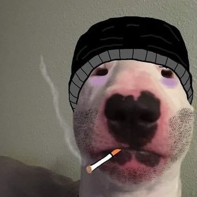 k4miloC's profile picture. { ... }
