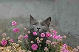 differenthinkin's profile picture. Super Mom-heard of her? Yes, I am a doctor, teacher, chef, chauffeur, coach, athlete & all around go-to-girl. I pretty much make superman look like a wimp!