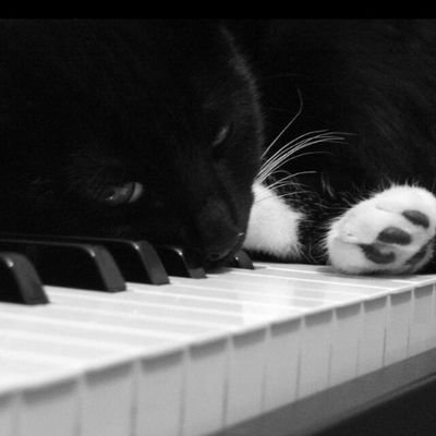 Facu_3986's profile picture. Judíos=Cáncer