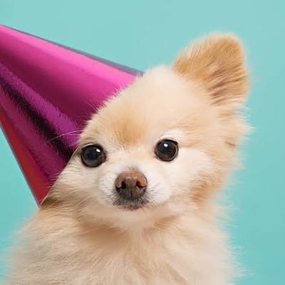 StudentMark2's profile picture. BSCE STUDENT LEGIT CLIENT