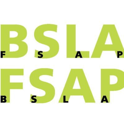bslafsap's profile picture. 