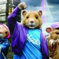 Jason Bik (@hamsterbot) 's Twitter Profile