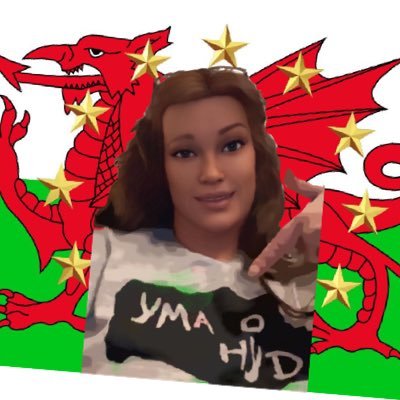 🏴󠁧󠁢󠁷󠁬󠁳󠁿Cymraes/Welsh/Euro🇪🇺Comical/Chatty/Candid/Clumsy/Cats/Cwrw🍺😻📷🏎🏉⚽️🍻#YesCymru #ToriesOut #Rejoin #Indy🇪🇺♻️🌍🇺🇦