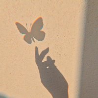 𝑀𝑎𝑦𝑎. (@mm__mayam) 's Twitter Profile