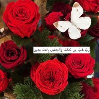 hatoonaldossary (@hatoonaldossar1) Twitter profile photo