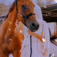 🇰🇼 بنــتــ وطــنــ النــهہـــار 🇰🇼 (@_silence2b_h) 's Twitter Profile
