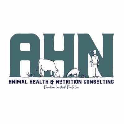 AHNConsulting Profile Picture