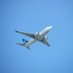 YXU Aviation (@yxuaviation) Twitter profile photo YXU Aviation (@yxuaviation) Twitter profile photo