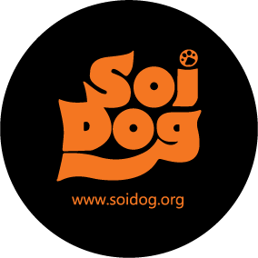 ร่วมบริจาค👉 บัญชี มูลนิธิเพื่อสุนัขในซอย ธ.กรุงเทพ (BBL) เลขบัญชี 573-0-47456-5 ธ.ทหารไทยธนชาต (TTB) เลขบัญชี 406-2-52322-2