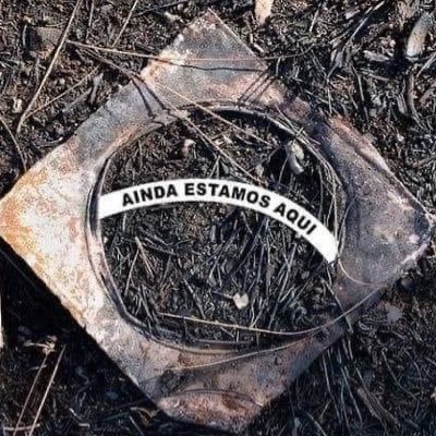 xalmer's profile picture. es denkt in mir