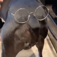 jake (@jscudd19) 's Twitter Profile