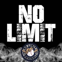 No Limit Elite Baseball (@limitbaseball) 's Twitter Profile