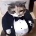 mycatxploded (@mycatxploded) Twitter profile photo mycatxploded (@mycatxploded) Twitter profile photo