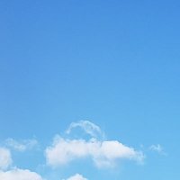 れもん☆簿記2級勉強中 (@remon55love) 's Twitter Profile